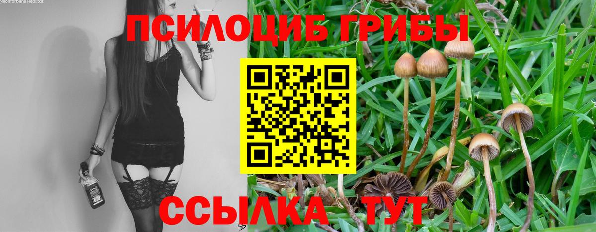 Псилоцибиновые грибы мухоморы  Вход с VPN  купить наркотик  Кувандык 